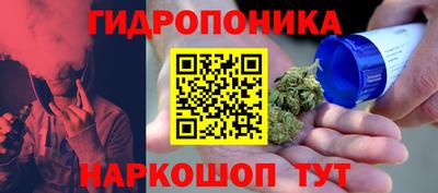 гашик Владивосток