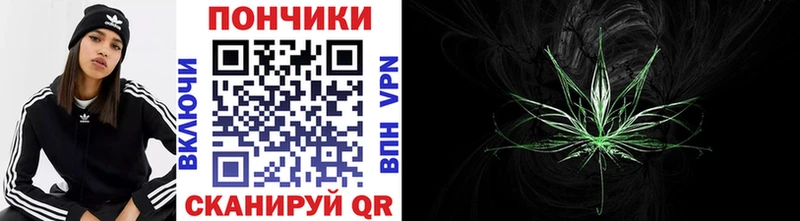 закладки Барнаул Шишки марихуана сатива