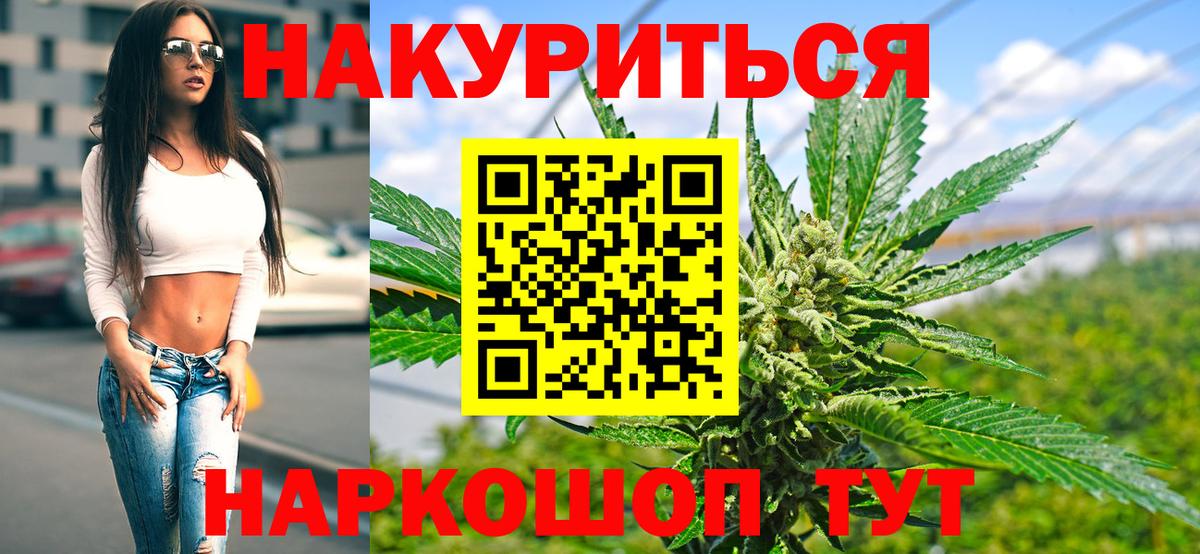Конопля планчик Барнаул